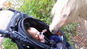 老驥伏櫪,志在千里 老人 語(yǔ) 馬