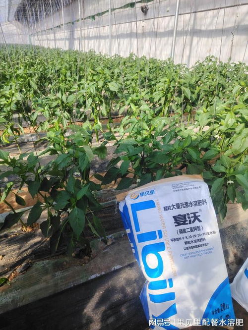 水溶肥廠家,經銷商這樣選擇